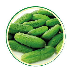 gherkins